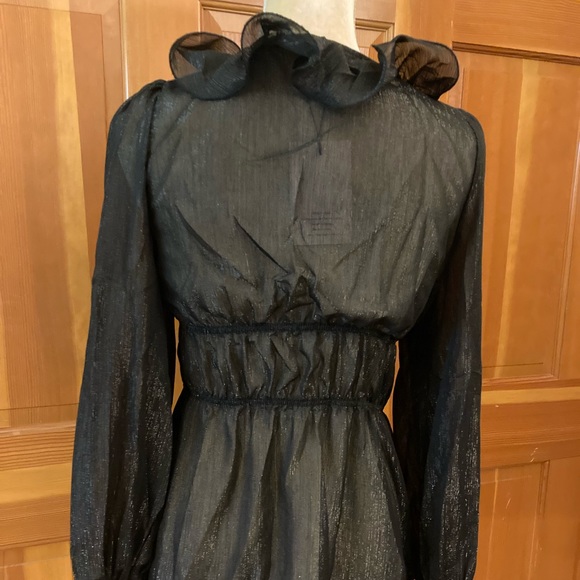 Nwt, Lavishly Paris Women’s Designer Ruffle Trim Top - Picture 10 of 16